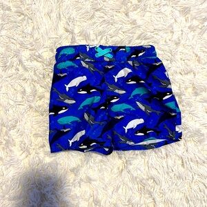 Toddler 2t Swim shorts